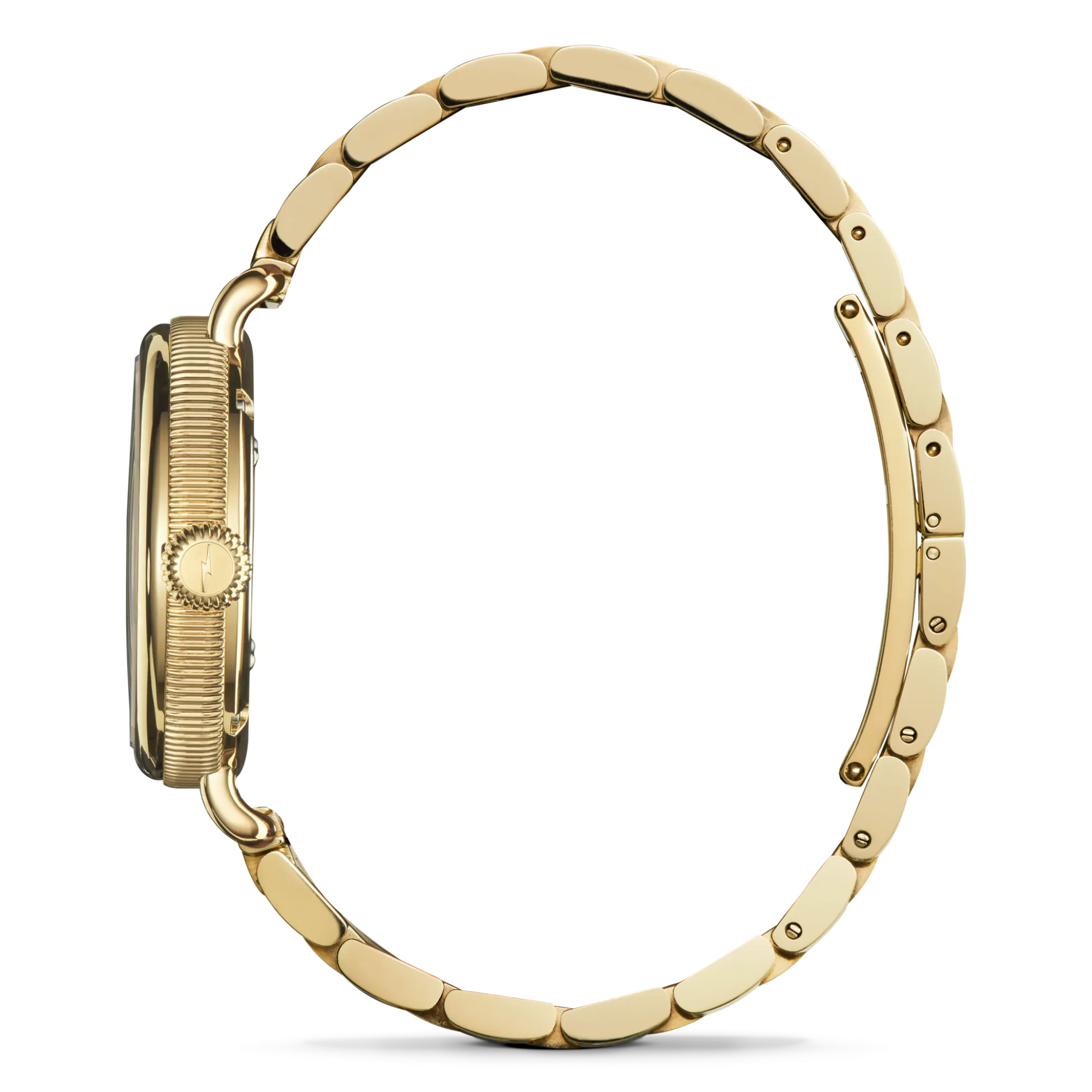 Shinola Women'S Watches|Shop All Women'S Watches|Birdy Watch Lapis