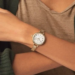 Shinola Gold Watches|Women'S Watches|Birdy Watch Light Silver