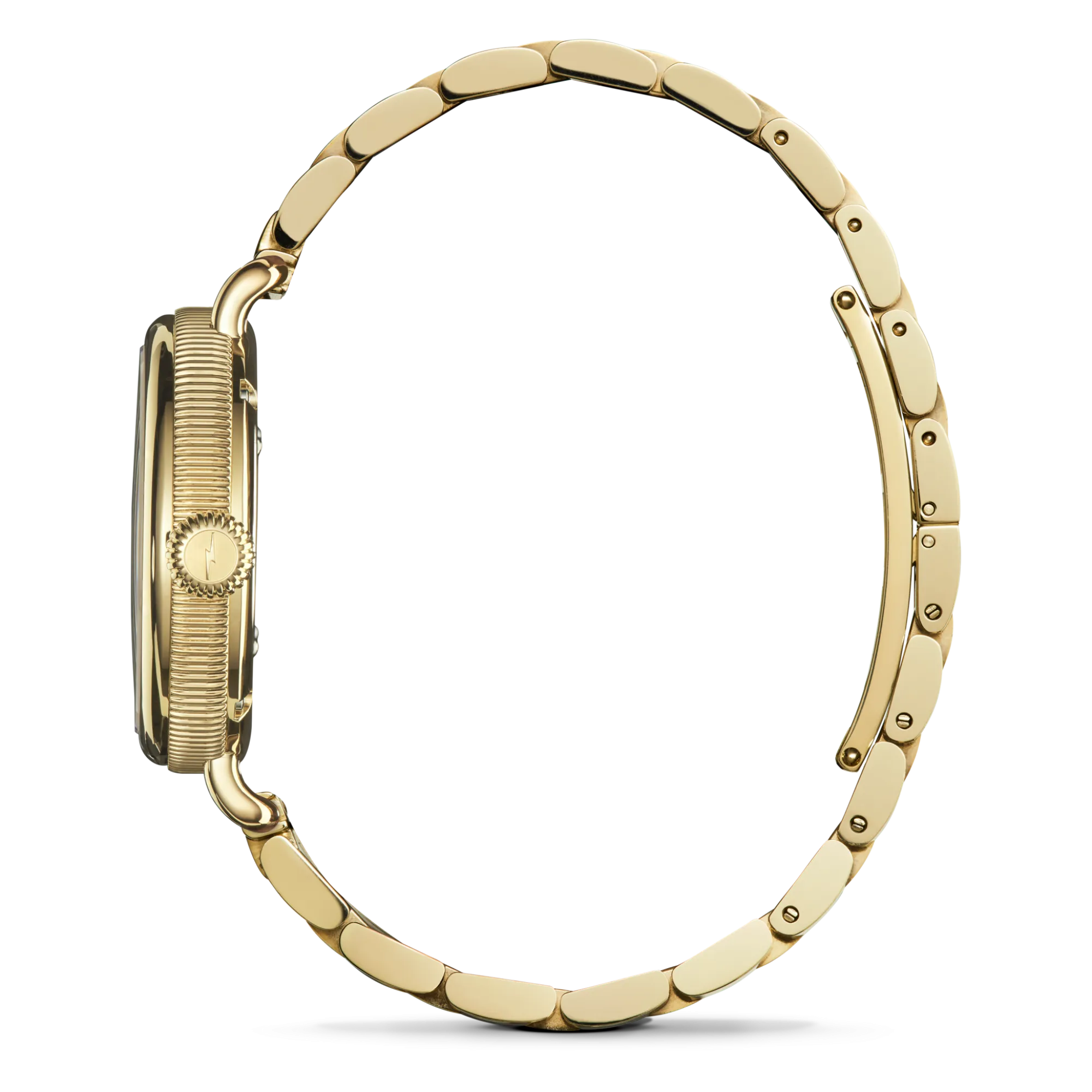 Shinola Gold Watches|Women'S Watches|Birdy Watch Natural Stone