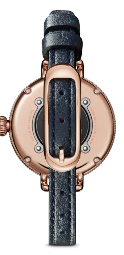 Shinola Gold Watches|Two-Tone Watches|Birdy Watch