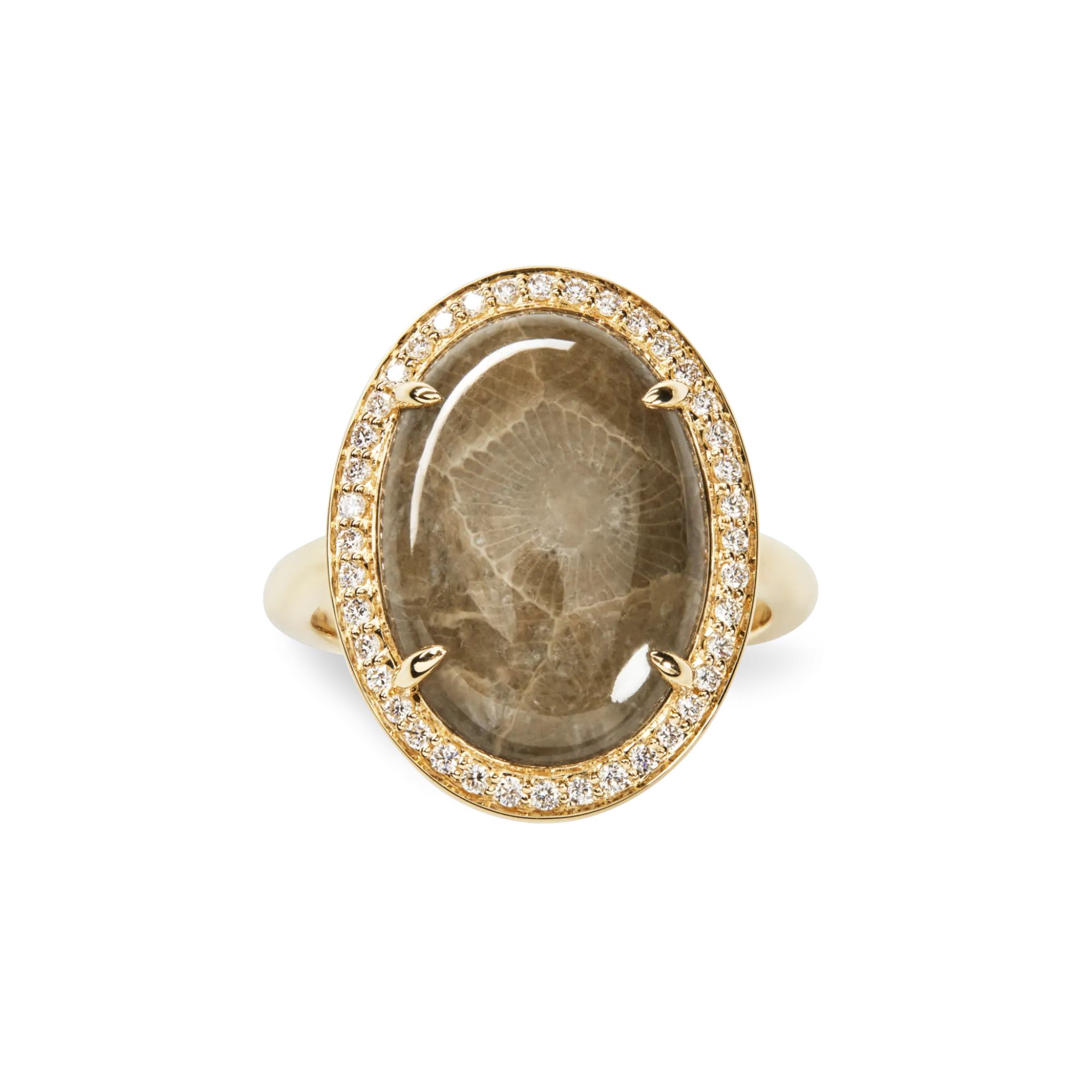 Shinola Rings|Best Sellers|Diamond Pave Oval Petoskey Ring