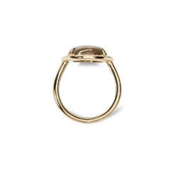 Shinola Rings|Best Sellers|Diamond Pave Oval Petoskey Ring