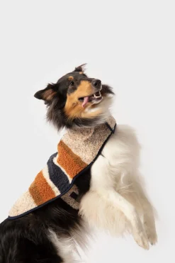 Shinola Shop All|Shop All Home|Dog Coat Oat Stripe