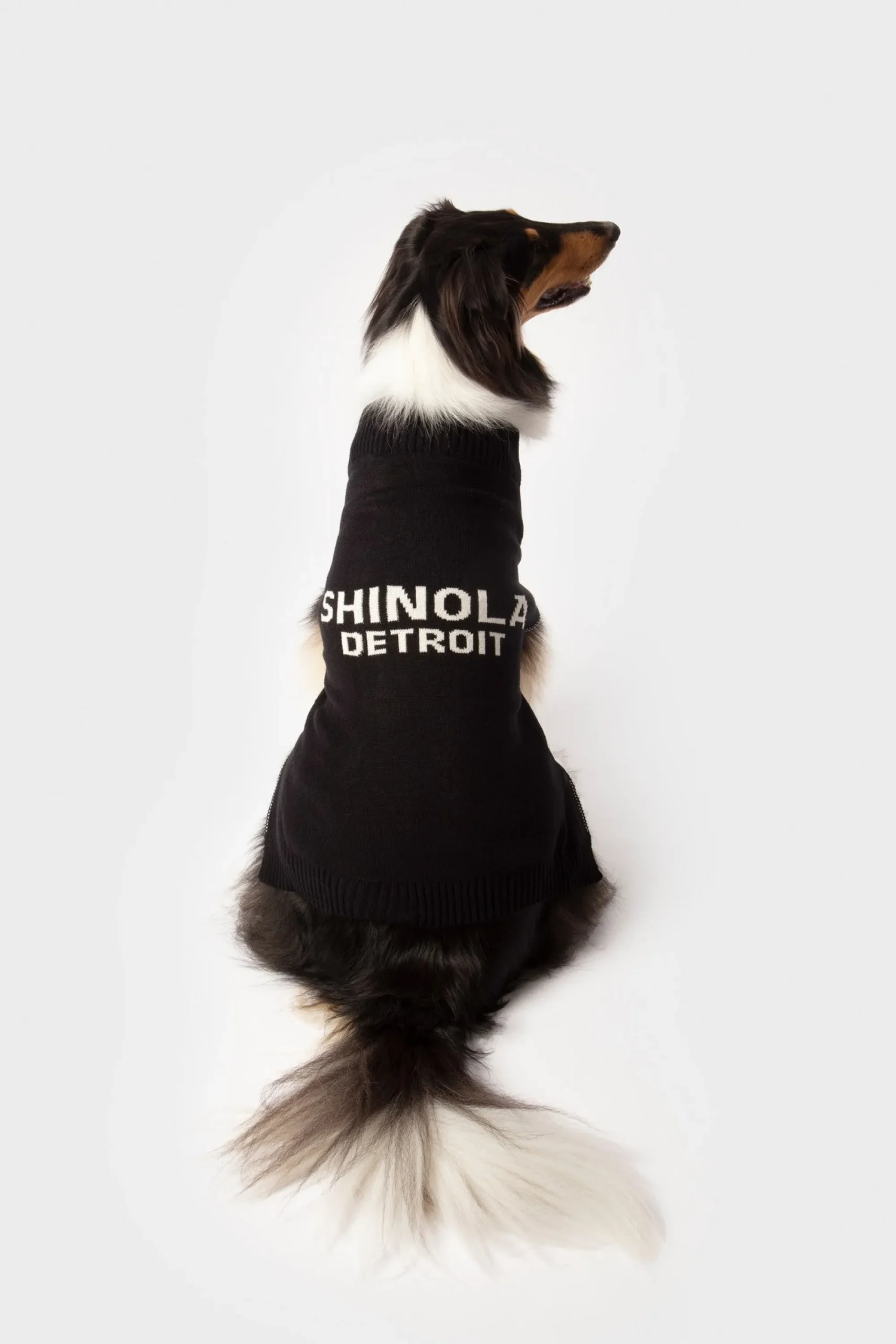 Shinola Shop All|Shop All Home|Dog Sweater Black