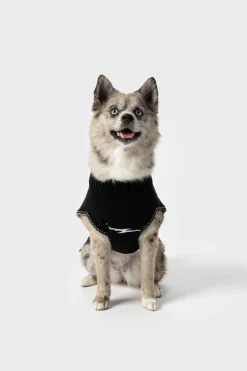 Shinola Shop All|Shop All Home|Dog Sweater Black