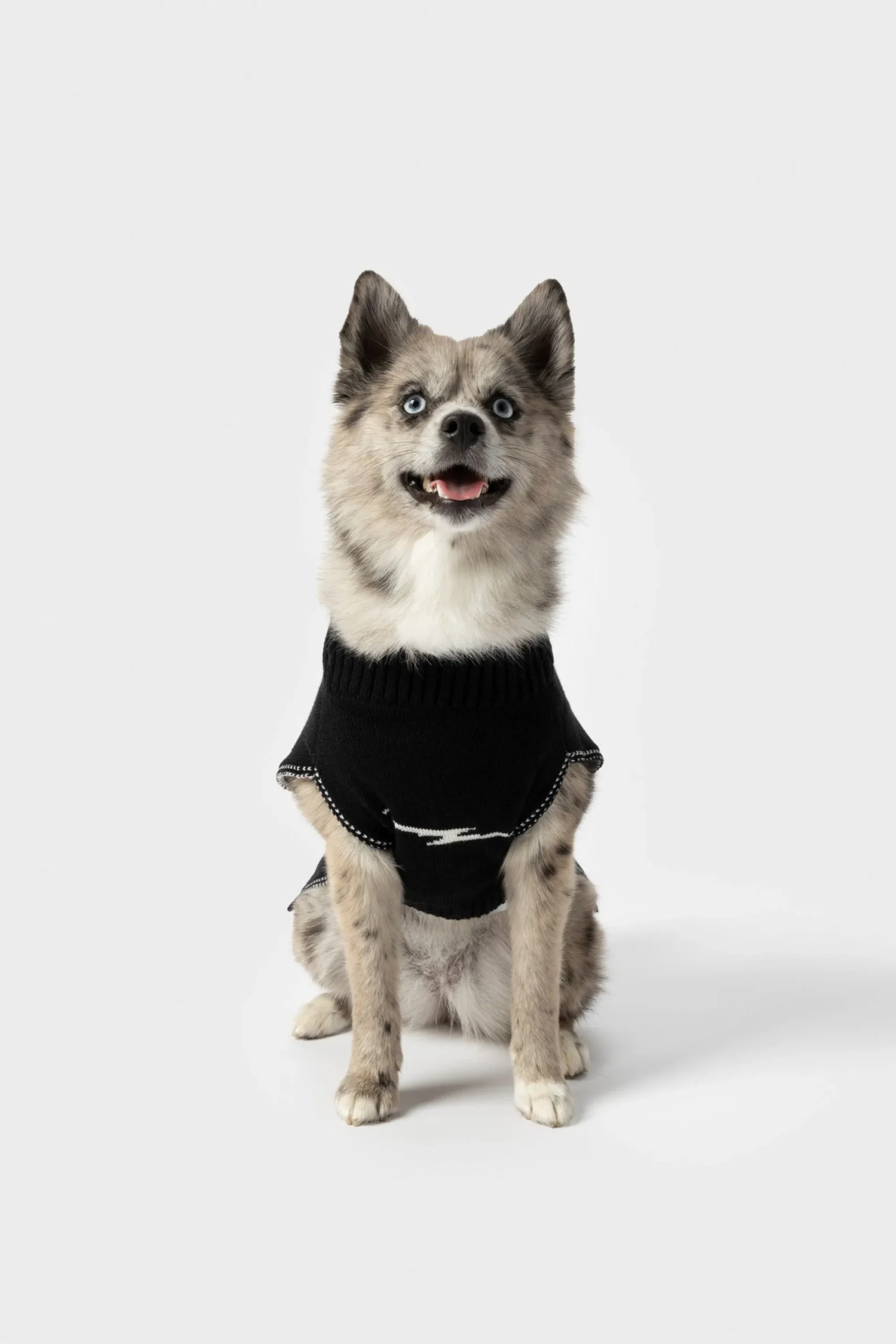 Shinola Shop All|Shop All Home|Dog Sweater Black