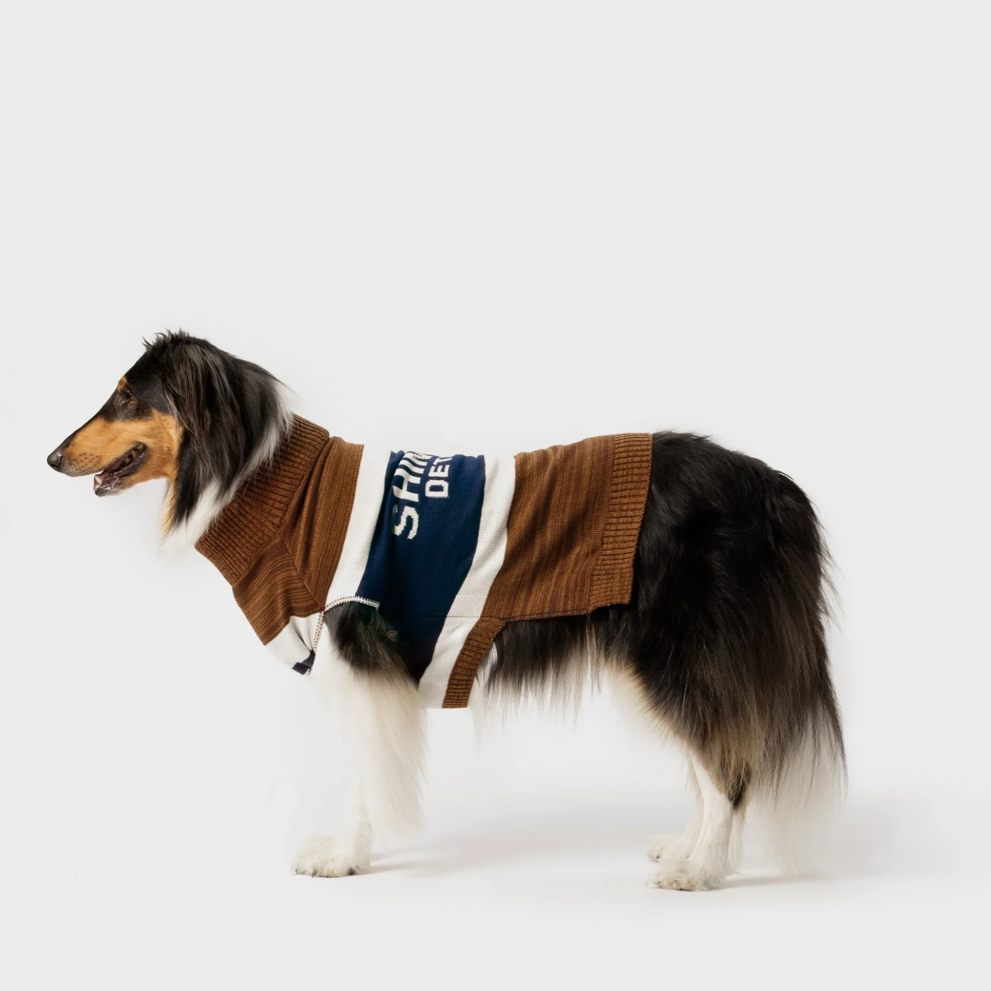 Shinola Shop All|Shop All Home|Dog Sweater Brand Stripe / Tan