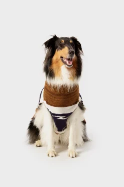 Shinola Shop All|Shop All Home|Dog Sweater Brand Stripe / Tan