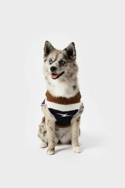Shinola Shop All|Shop All Home|Dog Sweater Brand Stripe / Tan