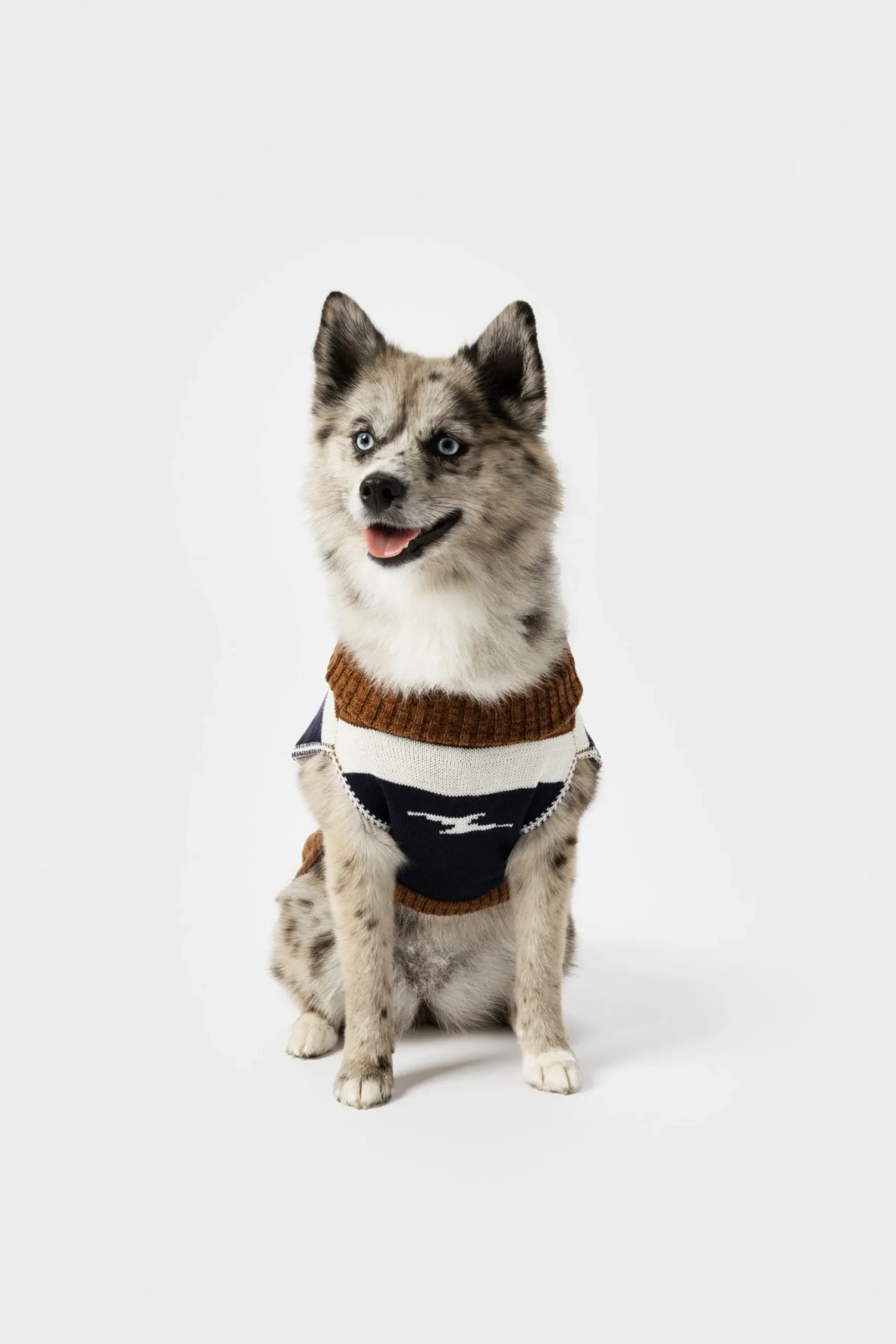 Shinola Shop All|Shop All Home|Dog Sweater Brand Stripe / Tan