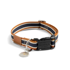 Shinola Shop All|Shop All Home|Nylon Dog Collar
