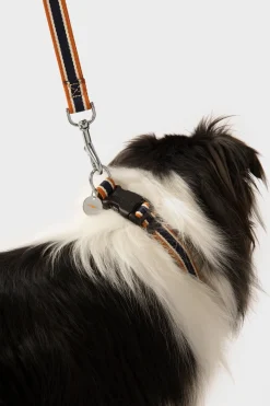 Shinola Shop All|Shop All Home|Nylon Dog Leash