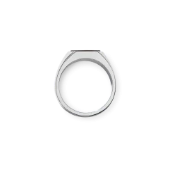 Shinola Rings|Natural Stones|Octagonal Signet Ring Onyx